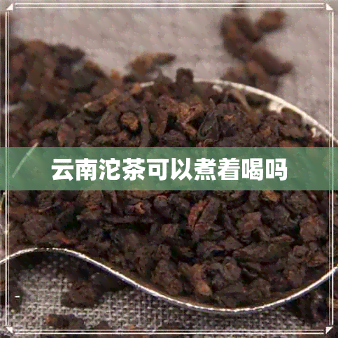 云南沱茶可以煮着喝吗