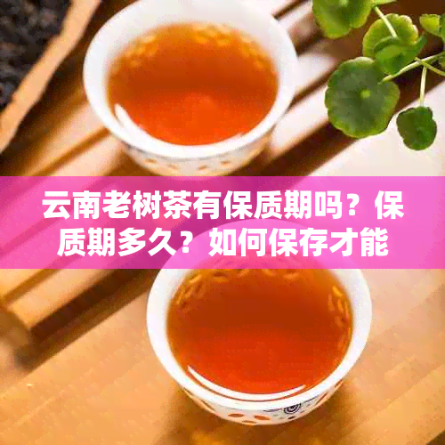 云南老树茶有保质期吗？保质期多久？如何保存才能长茶叶的保质期？