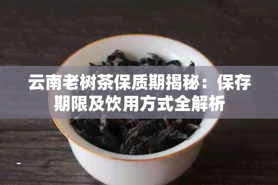 云南老树茶保质期揭秘：保存期限及饮用方式全解析