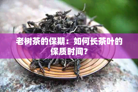 老树茶的保期：如何长茶叶的保质时间？