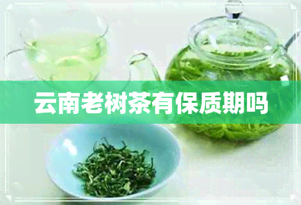 云南老树茶有保质期吗