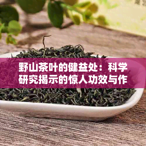 野山茶叶的健益处：科学研究揭示的惊人功效与作用