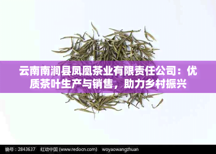 云南南涧县凤凰茶业有限责任公司：优质茶叶生产与销售，助力乡村振兴