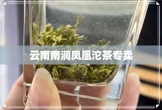 云南南涧凤凰沱茶专卖