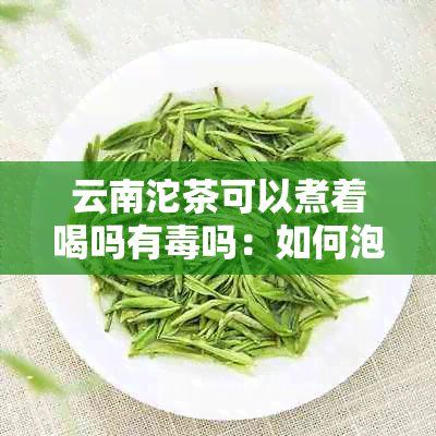 云南沱茶可以煮着喝吗有吗：如何泡水与喝法