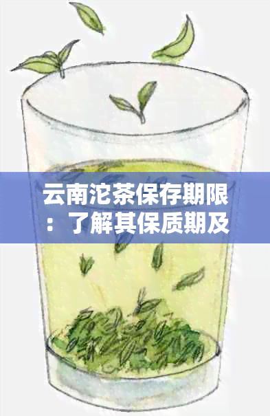 云南沱茶保存期限：了解其保质期及饮用方法，让茶叶保持品质