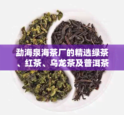 勐海泉海茶厂的精选绿茶、红茶、乌龙茶及普洱茶产品系列