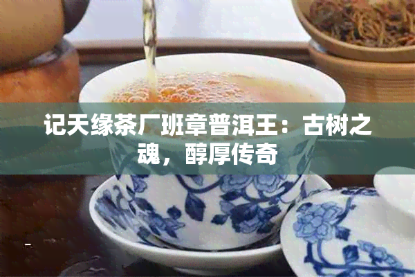 记天缘茶厂班章普洱王：古树之魂，醇厚传奇