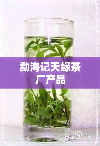 勐海记天缘茶厂产品