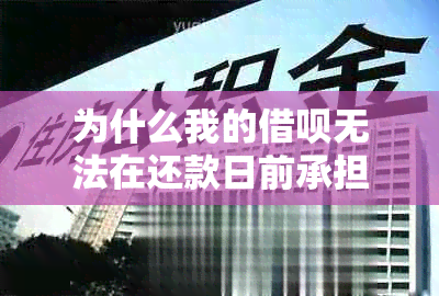 为什么我的借呗无法在还款日前承担了？