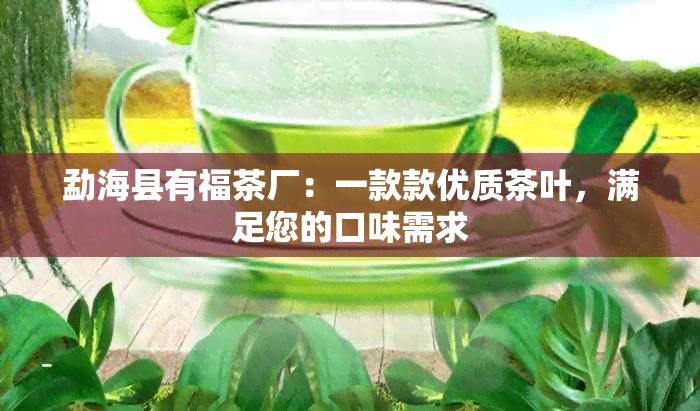 勐海县有福茶厂：一款款优质茶叶，满足您的口味需求