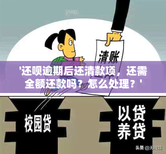 '还款逾期后还清款项，还需全额还款吗？怎么处理？'