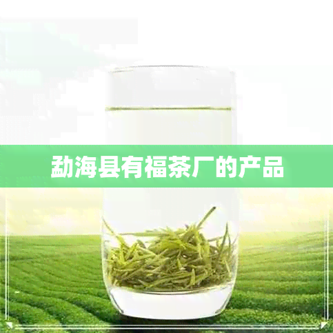 勐海县有福茶厂的产品