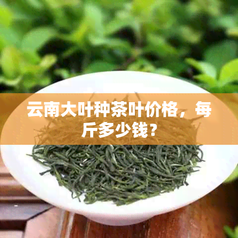 云南大叶种茶叶价格，每斤多少钱？