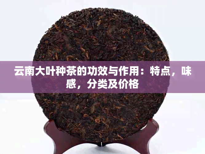 云南大叶种茶的功效与作用：特点，味感，分类及价格