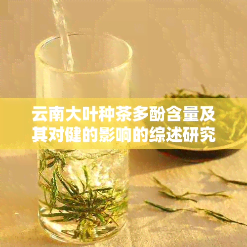 云南大叶种茶多酚含量及其对健的影响的综述研究