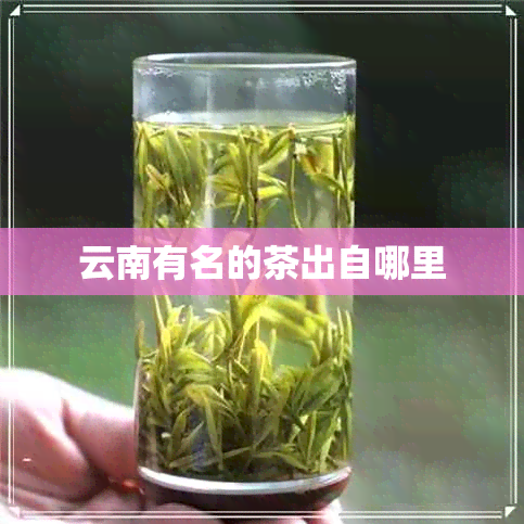 云南有名的茶出自哪里