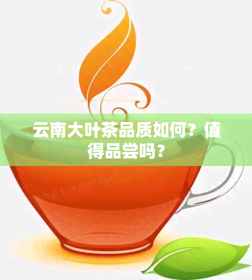 云南大叶茶品质如何？值得品尝吗？