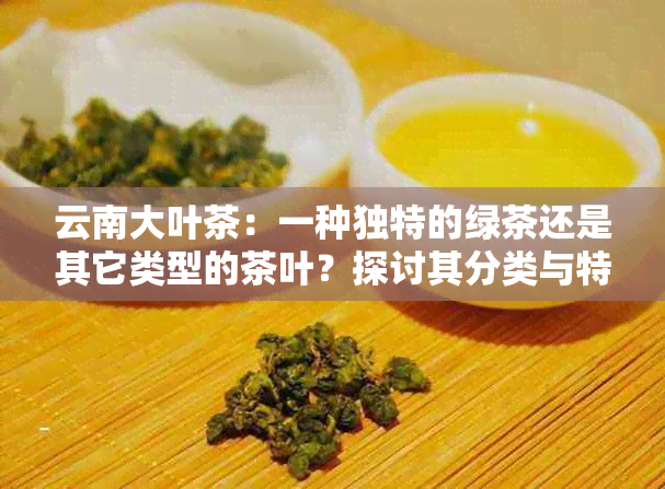 云南大叶茶：一种独特的绿茶还是其它类型的茶叶？探讨其分类与特点