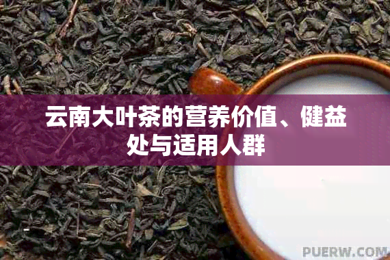 云南大叶茶的营养价值、健益处与适用人群