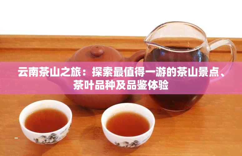 云南茶山之旅：探索最值得一游的茶山景点、茶叶品种及品鉴体验