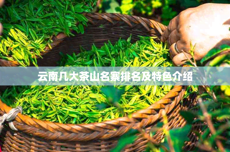 云南几大茶山名寨排名及特色介绍