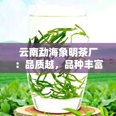 云南勐海象明茶厂：品质越，品种丰富，为您提供一杯完美的普洱茶体验