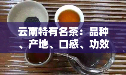 云南特有名茶：品种、产地、口感、功效及泡茶方法全面解析