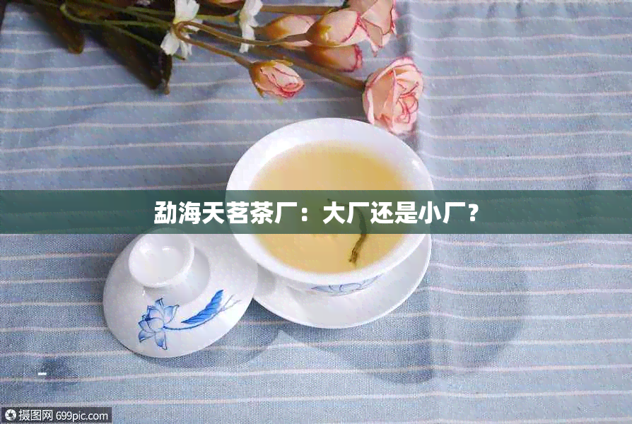 勐海天茗茶厂：大厂还是小厂？