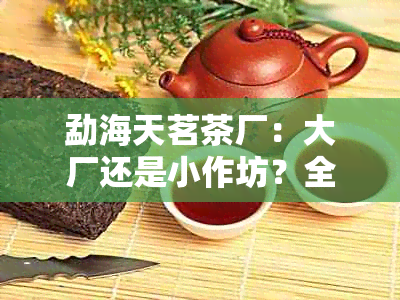 勐海天茗茶厂：大厂还是小作坊？全面解析其规模和品质