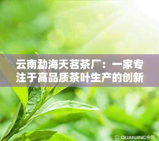 云南勐海天茗茶厂：一家专注于高品质茶叶生产的创新企业