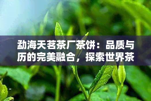 勐海天茗茶厂茶饼：品质与历的完美融合，探索世界茶香的魅力