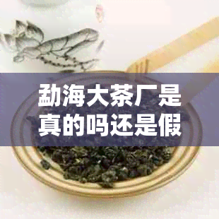 勐海大茶厂是真的吗还是假的？勐海县大茶厂官网