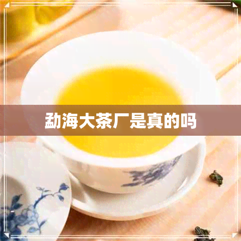 勐海大茶厂是真的吗