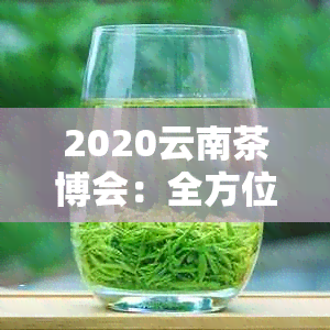 2020云南茶博会：全方位展示茶叶产业，深入探讨茶文化与科技创新