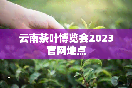 云南茶叶博览会2023官网地点