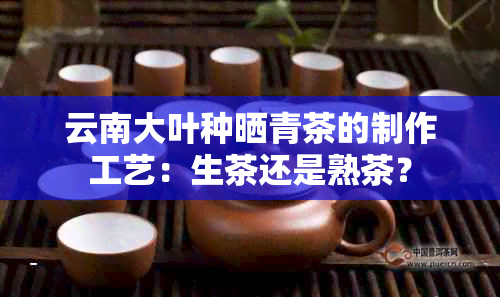 云南大叶种晒青茶的制作工艺：生茶还是熟茶？