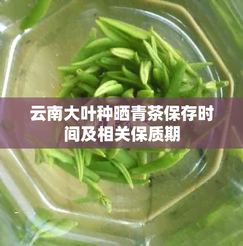 云南大叶种晒青茶保存时间及相关保质期