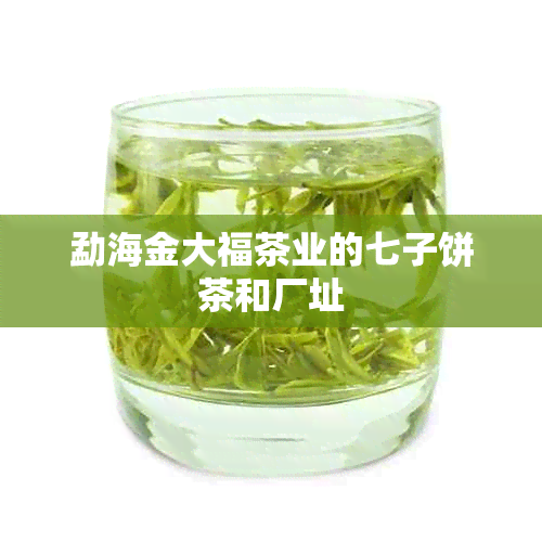 勐海金大福茶业的七子饼茶和厂址