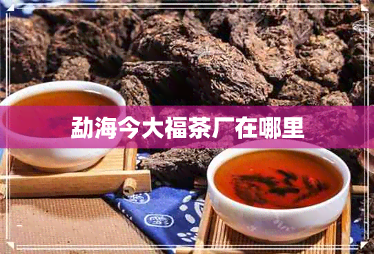 勐海今大福茶厂在哪里