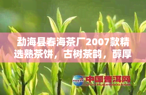 勐海县春海茶厂2007款精选熟茶饼，古树茶韵，醇厚浓，品质越