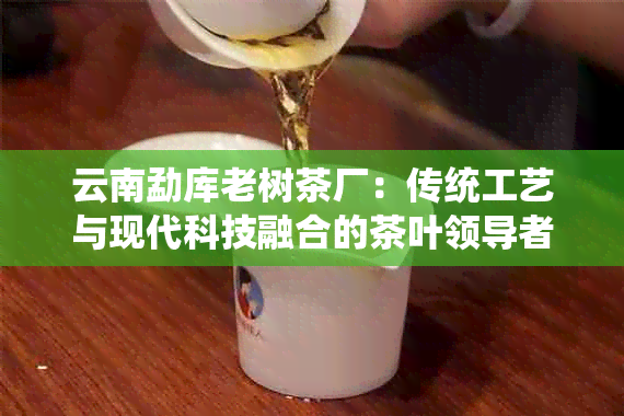 云南勐库老树茶厂：传统工艺与现代科技融合的茶叶领导者