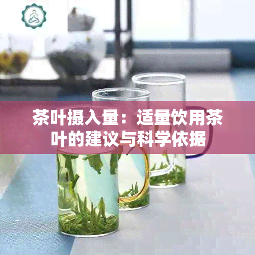 茶叶摄入量：适量饮用茶叶的建议与科学依据