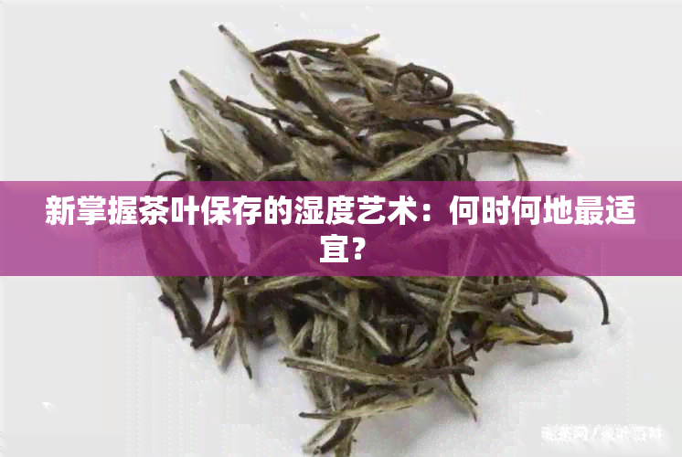 新掌握茶叶保存的湿度艺术：何时何地最适宜？