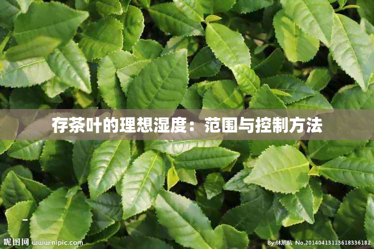 存茶叶的理想湿度：范围与控制方法