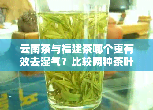 云南茶与福建茶哪个更有效去湿气？比较两种茶叶的祛湿效果及适用人群