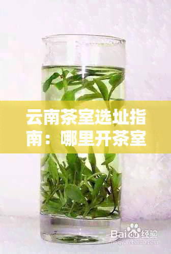 云南茶室选址指南：哪里开茶室最合适？