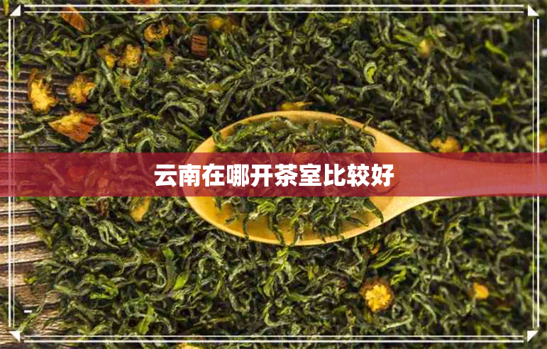 云南在哪开茶室比较好