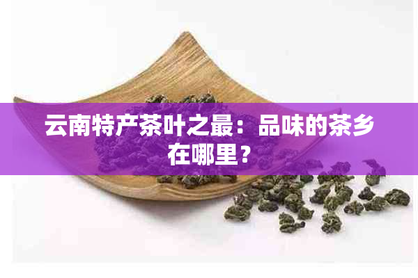 云南特产茶叶之最：品味的茶乡在哪里？