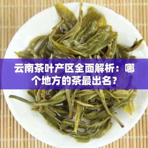 云南茶叶产区全面解析：哪个地方的茶最出名？